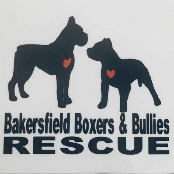 Bakersfield Boxers and Bullies Rescue