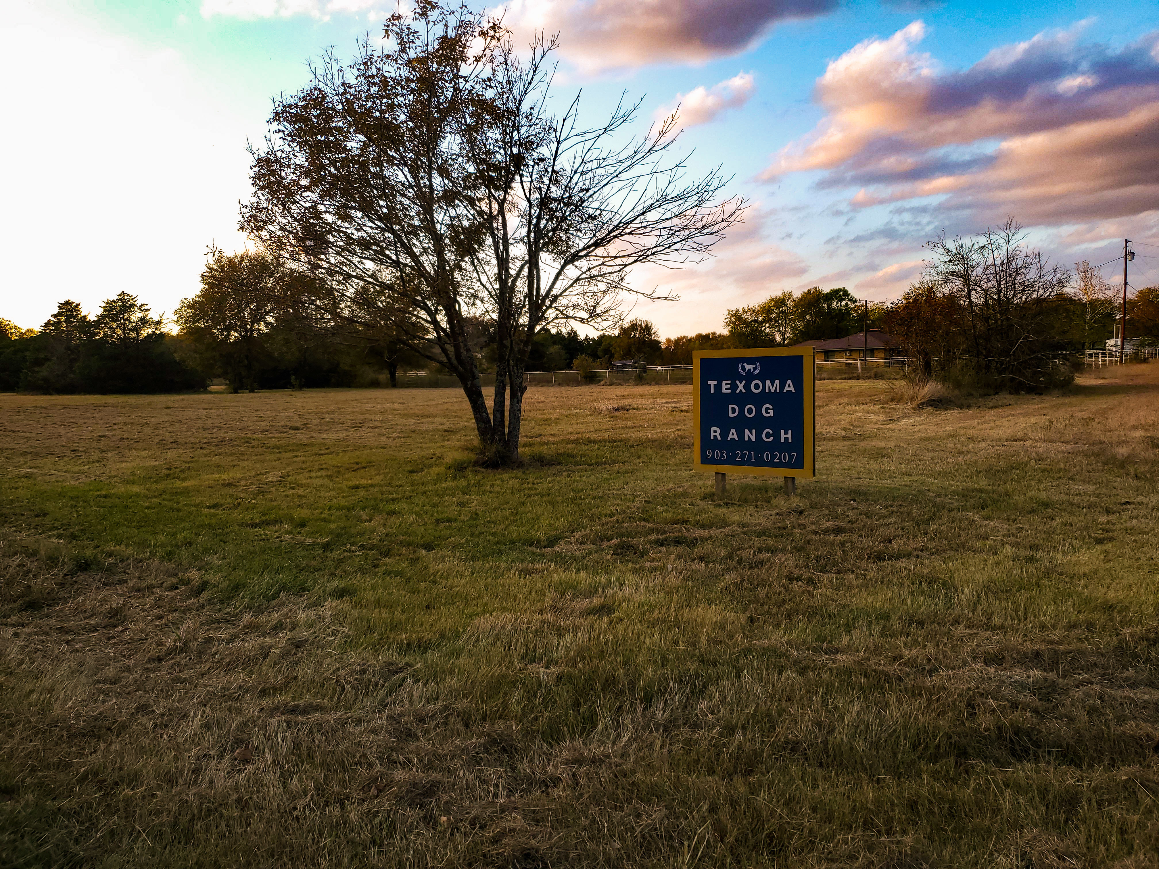 Texoma Dog Ranch