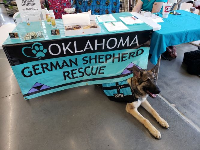 Oklahoma German Shepherd Rescue