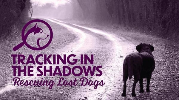Tracking In The Shadows - Rescuing Lost Dogs