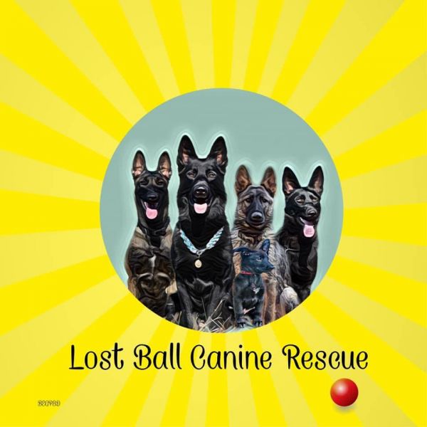 Lost Ball Canine Rescue