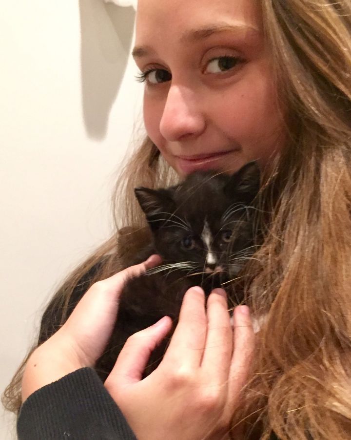 Helen from Bridesmaids litter