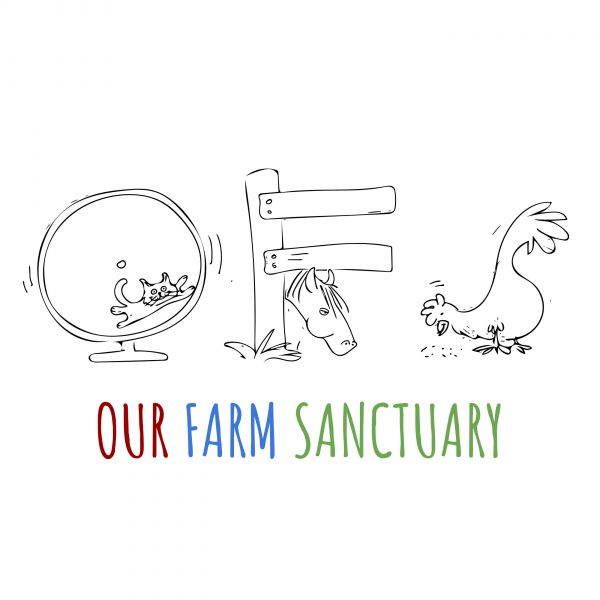 Our Farm Sanctuary