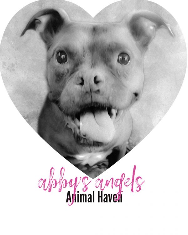 Abby's Angels Animal Haven 