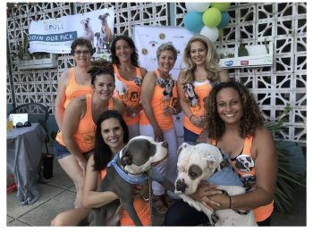 Buddha and the Bull Rescue Leaders