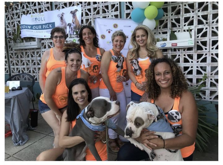 Buddha and the Bull Rescue Leaders