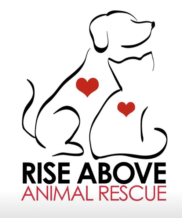 Rise Above Animal Rescue