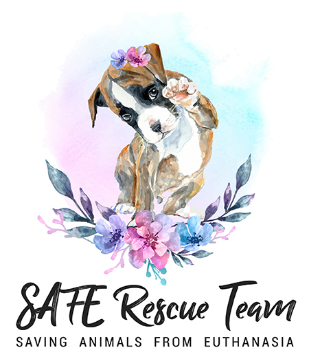 SAFE Rescue Team