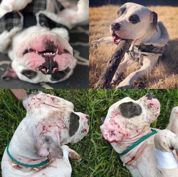 We have amazing Transformations