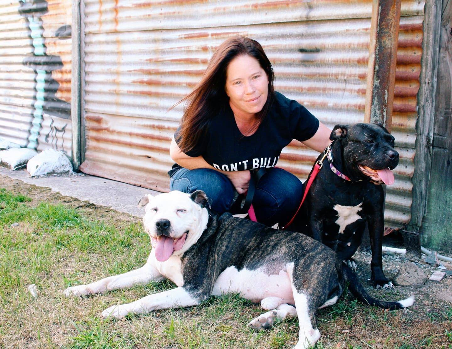 Pets for Adoption at Renegade Paws Rescue, in Savannah, GA ...