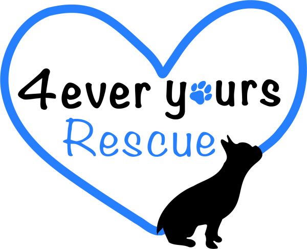 4ever Yours Rescue Inc.
