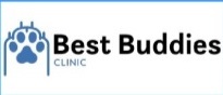 Best Buddies Inc