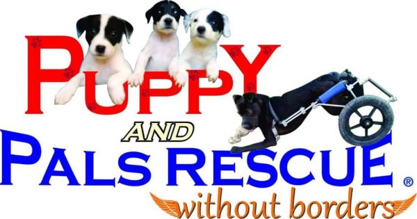 Puppy and Pals Without Borders Rescue