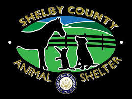 Shelby County Animal Control and Shelter