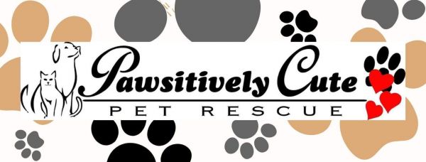 Pawsitively Cute Pet Rescue