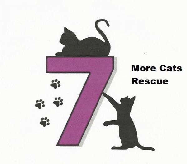 Seven More Cats Rescue