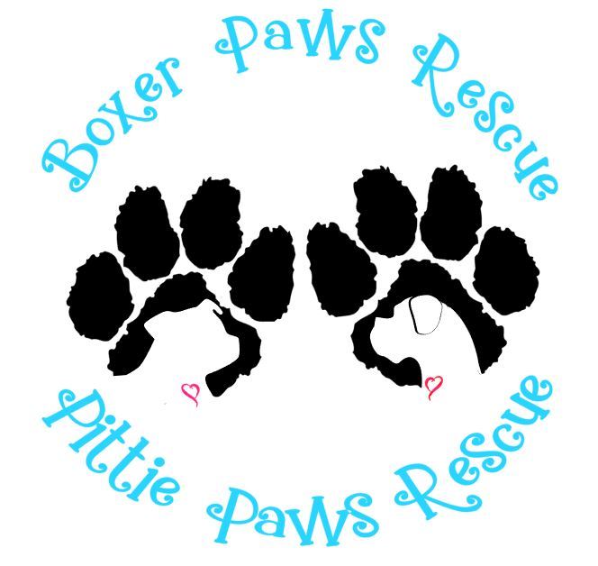 Boxer Paws Rescue