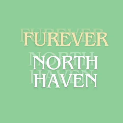 Furever North Haven