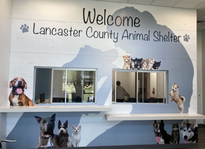 Welcome to the NEW Lancaster County Animal Shelter