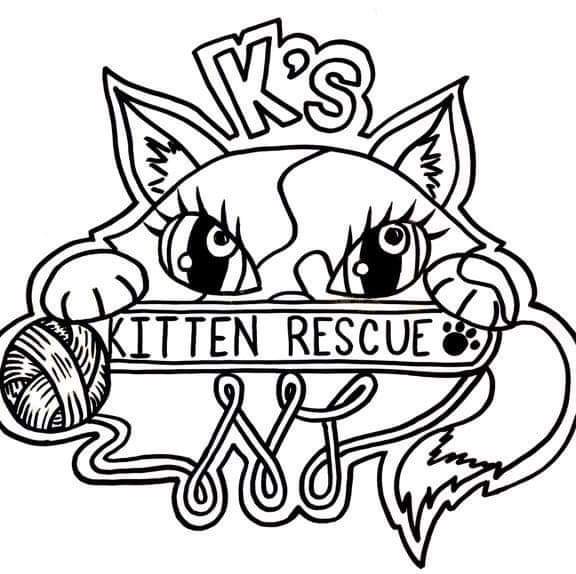 Pets for Adoption at K's Kitten Rescue, in Brick, NJ ...