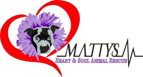 Matty's Heart & Soul Animal Rescue