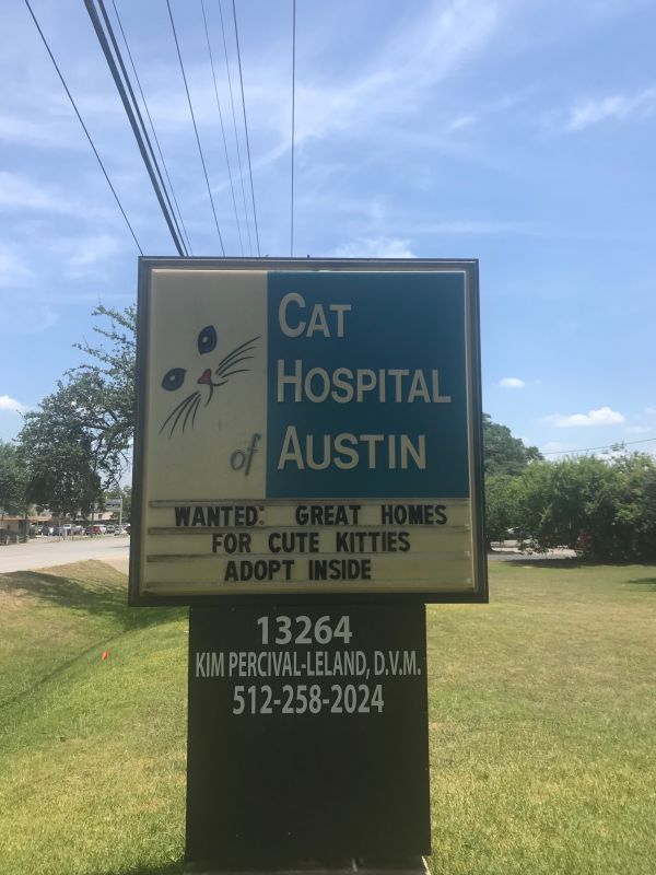 Cat Hospital of Austin