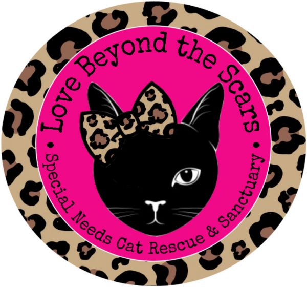 Love Beyond the Scars Rescue & Sanctuary