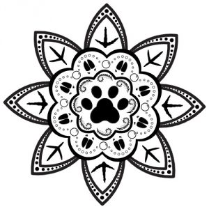 Ahimsa Safe Haven