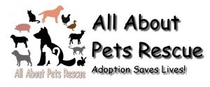 All About Pets Rescue