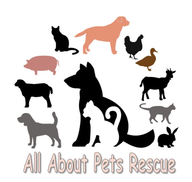 All About Pets Rescue
