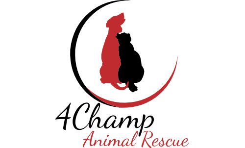 4Champ Animal Rescue