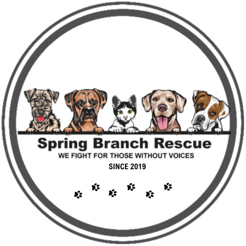Spring Branch Rescue