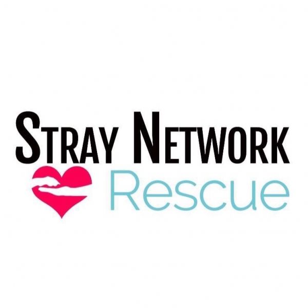 Stray Network Animal Rescue 