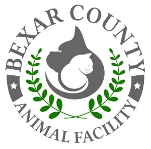 Bexar County Animal Facility