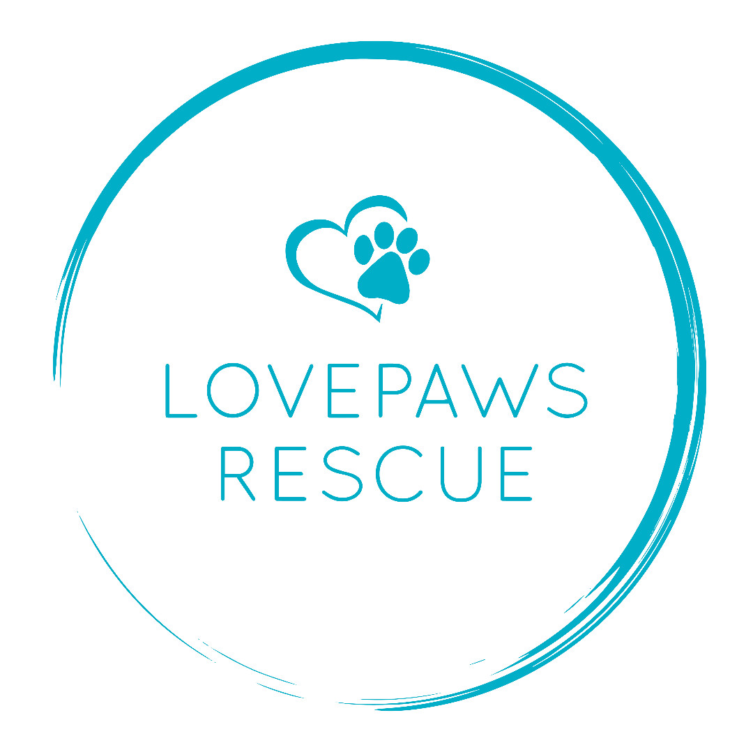 Lovepaws