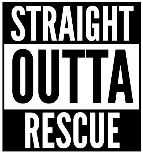 Straight Outta Rescue Society