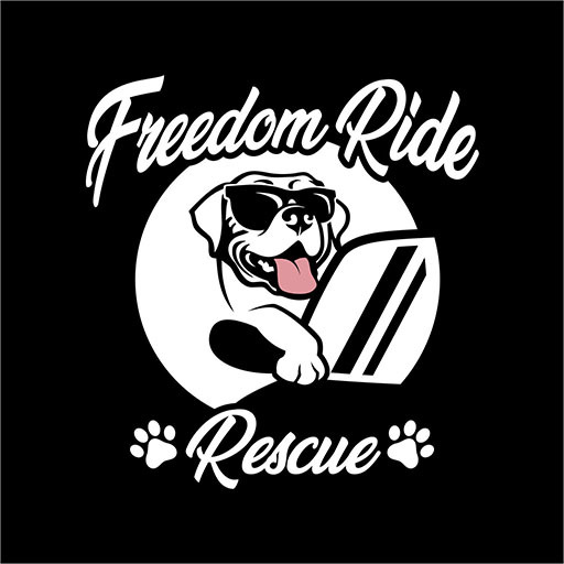 Freedom Ride Rescue