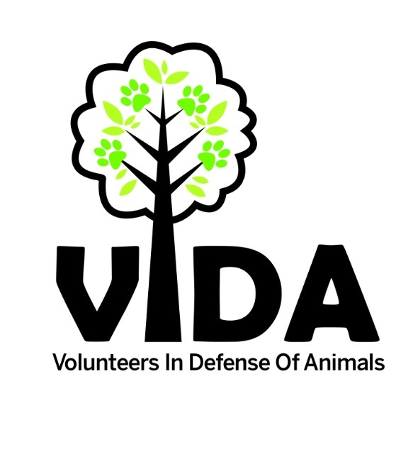VIDA Rescue's logo