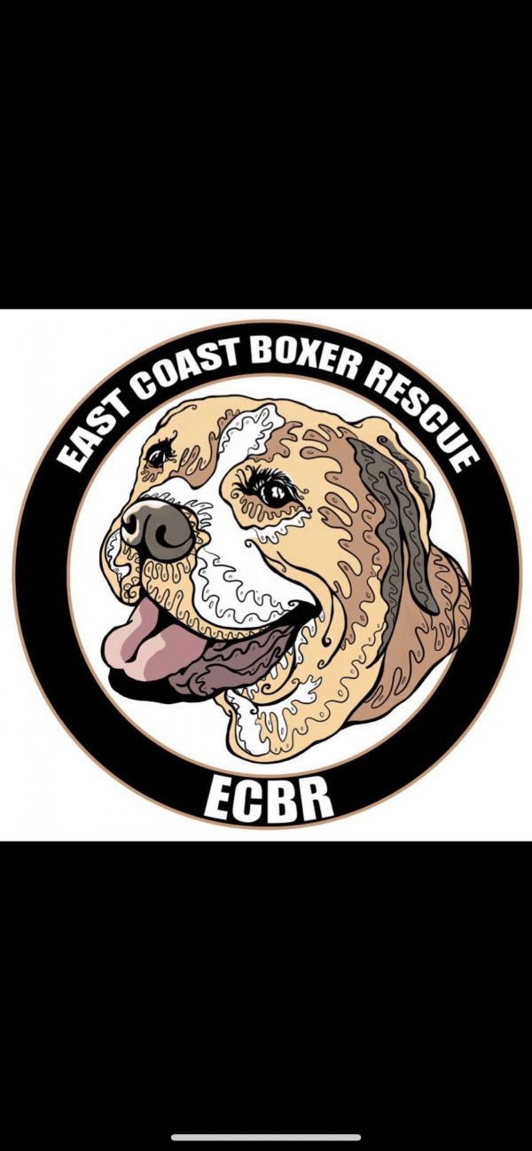 East Coast Boxer Rescue