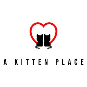 A Kitten Place