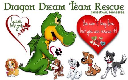 Dragon Dream Team Rescue