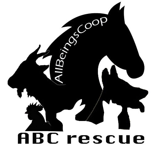 All Beings Cooperative Animal Rescue