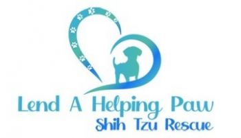 Making a difference one dog at a time