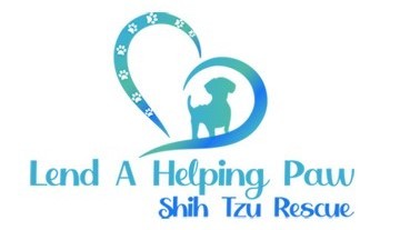 Making a difference one dog at a time