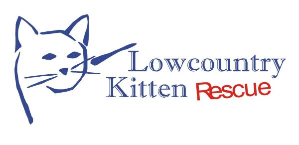 Bottle Babies / Lowcountry Kitten Rescue (LKR)