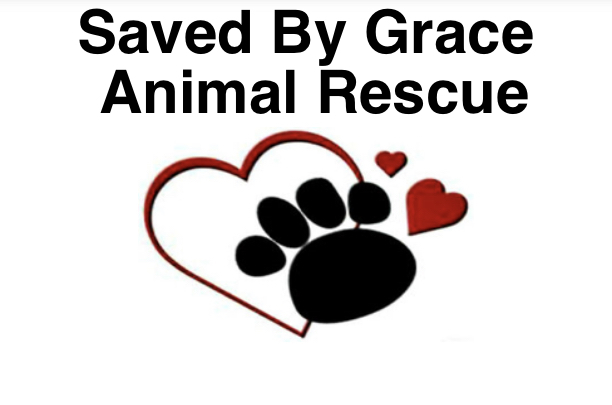 Saved By Grace Animal Rescue