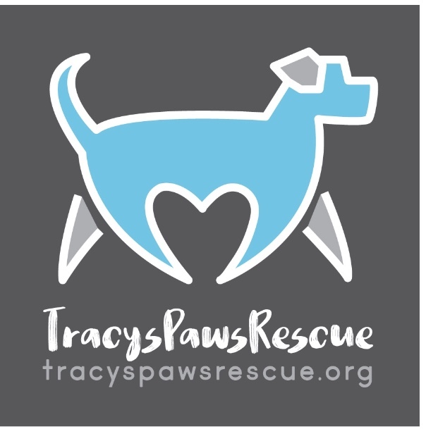 Tracy dog sale pound