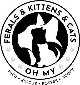 Pets for Adoption at Ferals and Kittens and Cats Oh My in Rochester