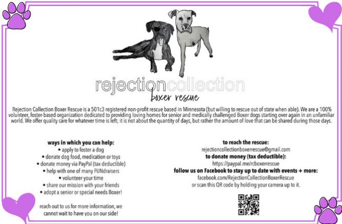 Rejection Collection Boxer Rescue