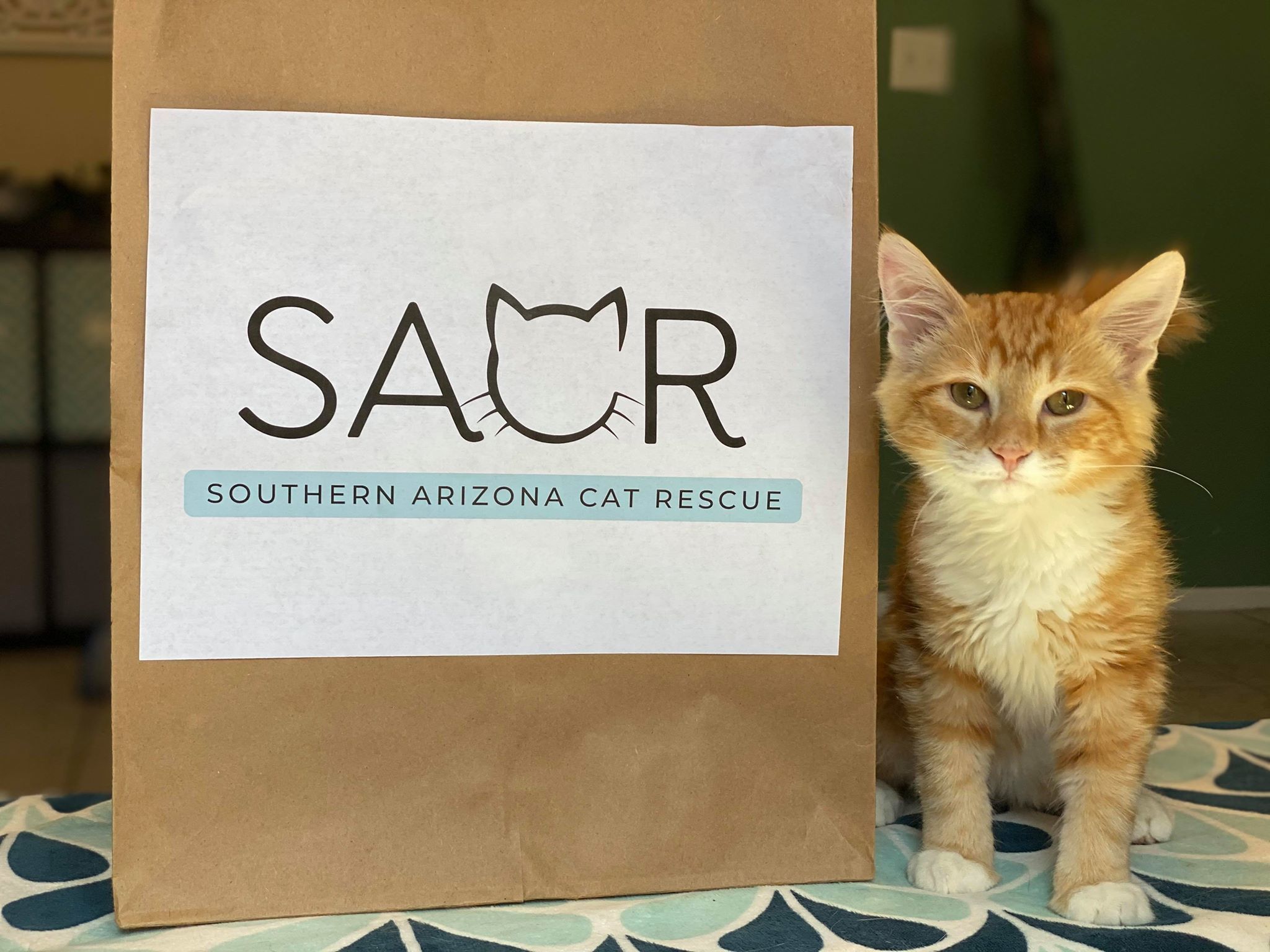 Southern Arizona Cat Rescue